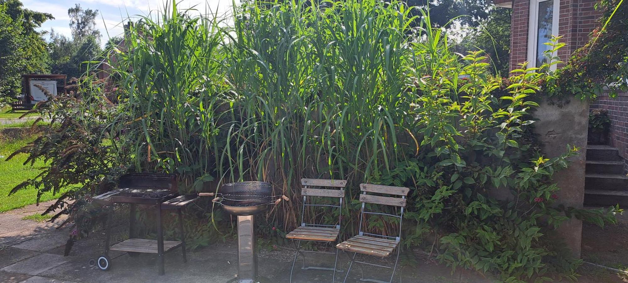 Schillers Landhaus Neu Darchau 外观 照片