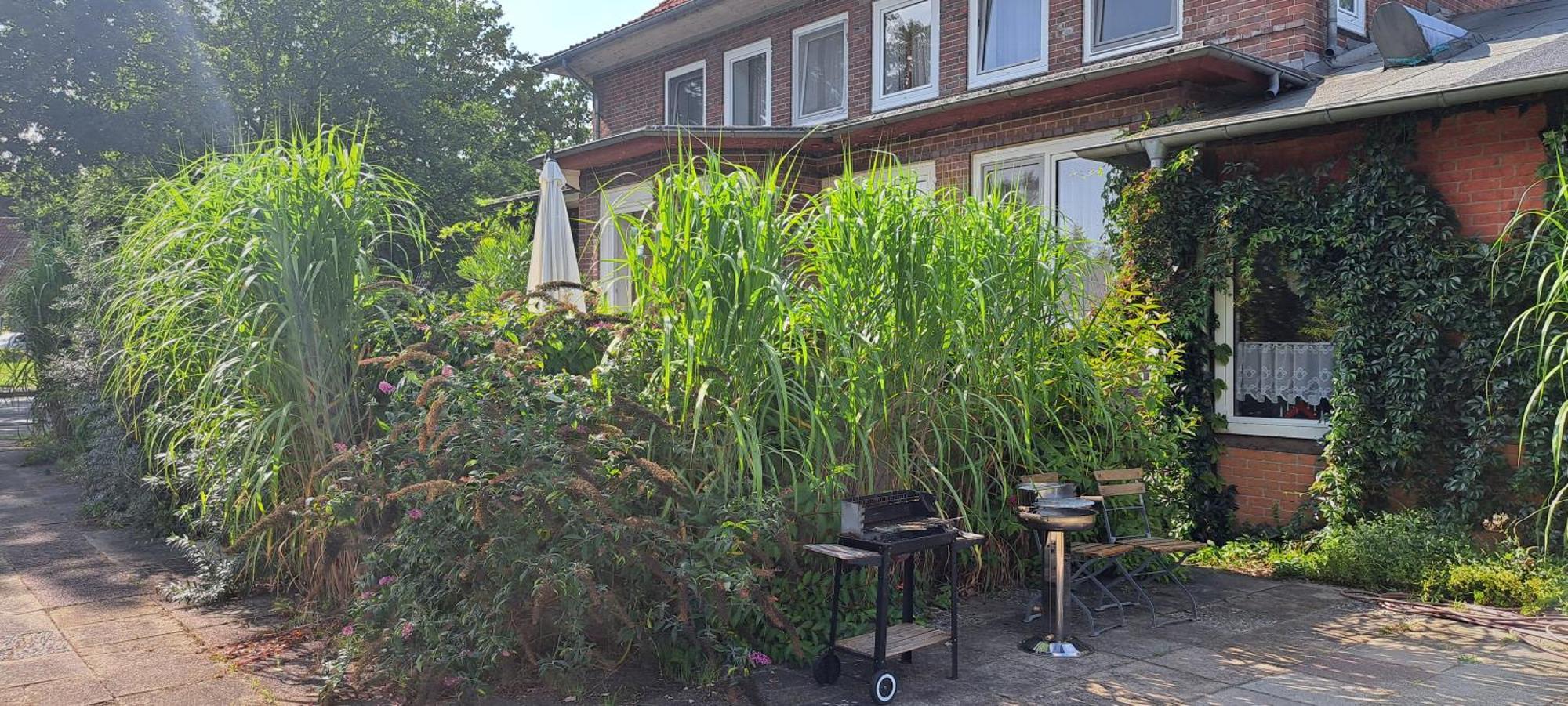 Schillers Landhaus Neu Darchau 外观 照片