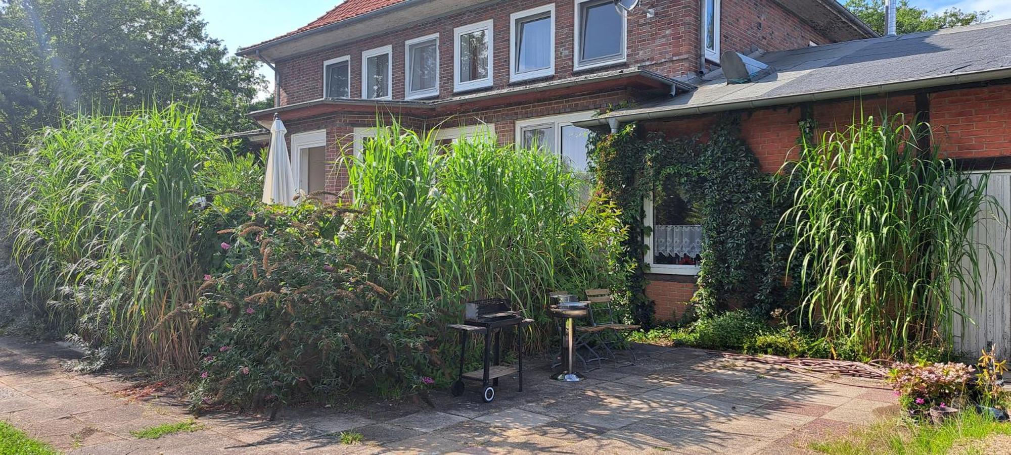 Schillers Landhaus Neu Darchau 外观 照片