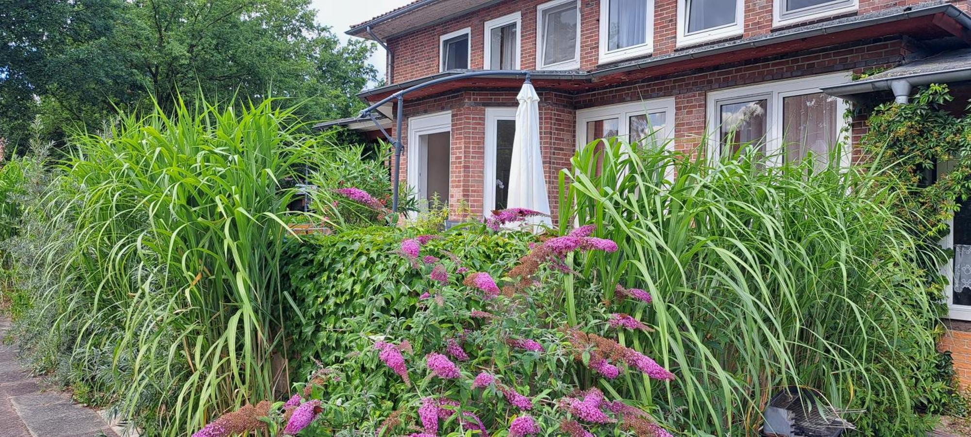 Schillers Landhaus Neu Darchau 外观 照片